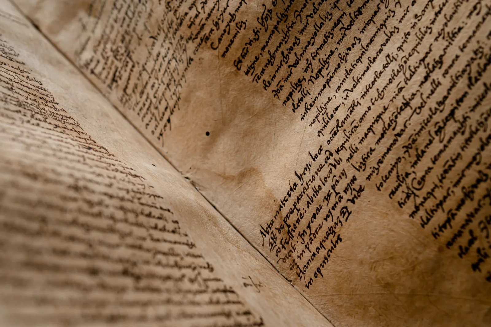 Sahagun manuscript 6