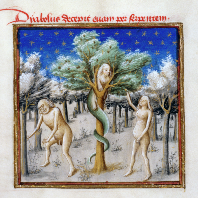 Adam, Eve, and the woman-headed serpent, folio 2r, Le miroir de humaine saluation A naked Adam and Eve stand around a tree wrapped by a woman-headed serpent.