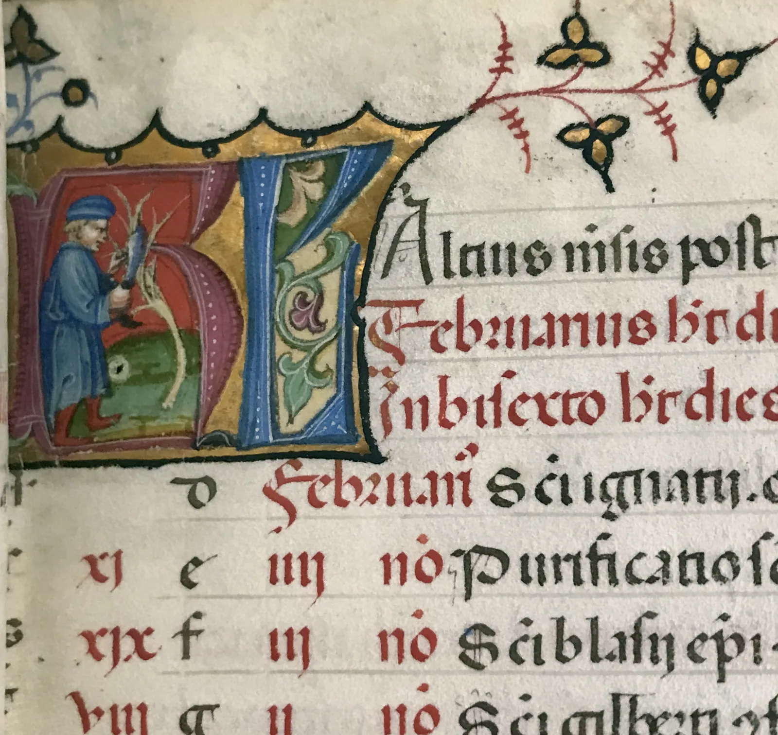 The pruning of trees in February, illustrated in a 15th-century Book of Hours An illuminated initial depicts the act of pruning trees that was associated with the month of February.
