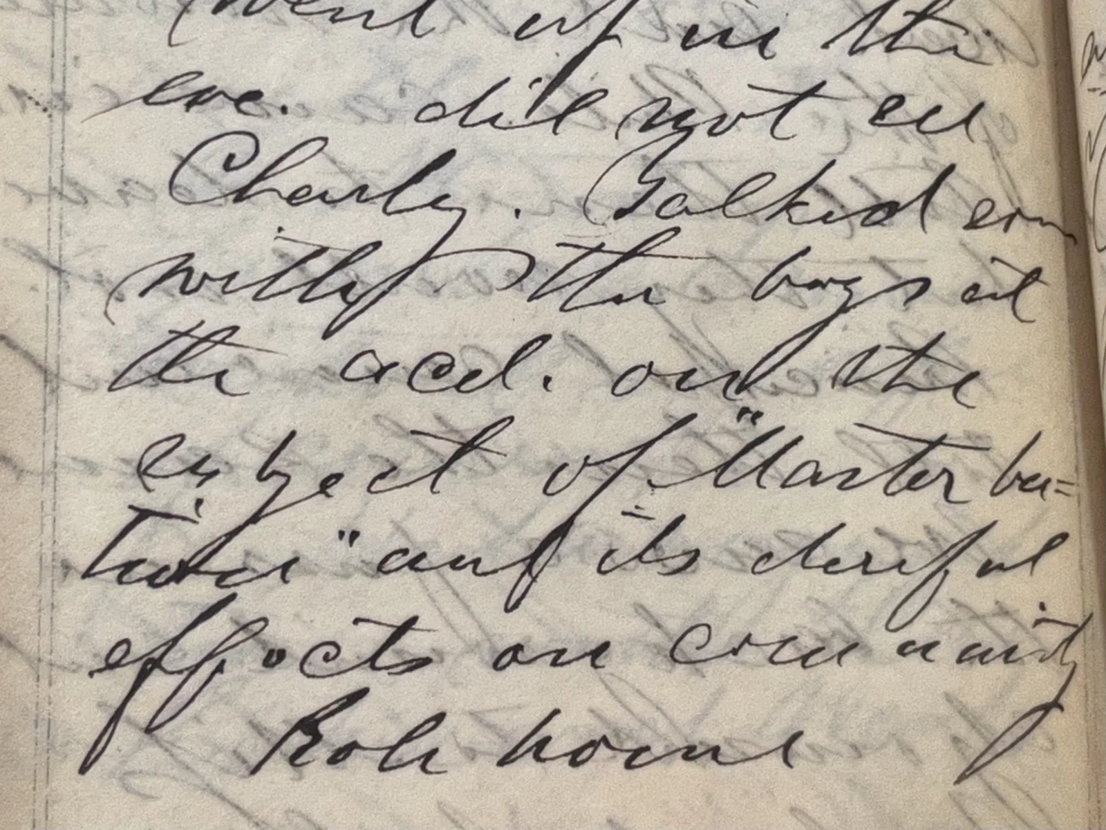 Wing diary Handwritten words appear on a page of a diary.
