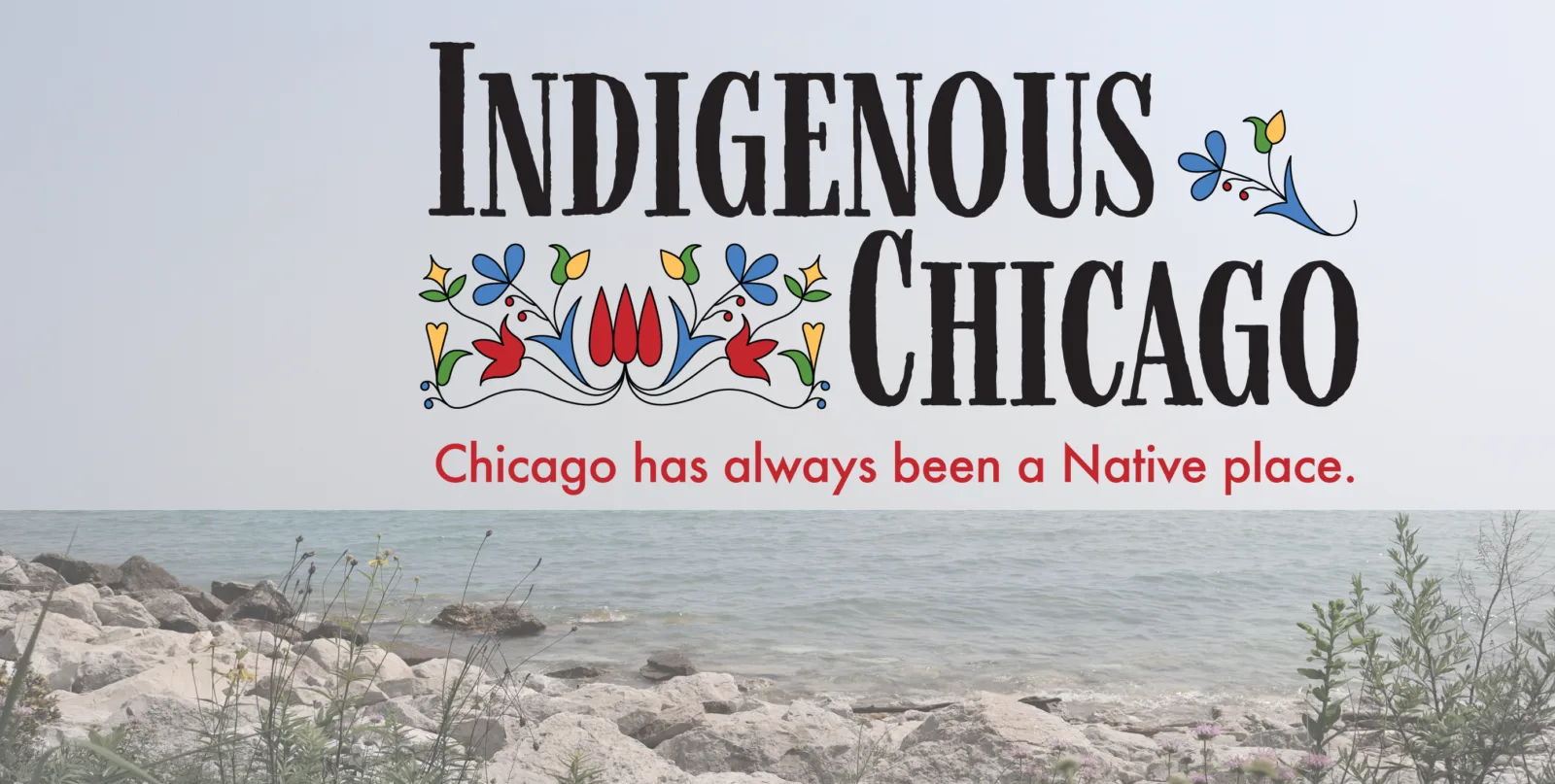 Indigenous Chicago homepage 1