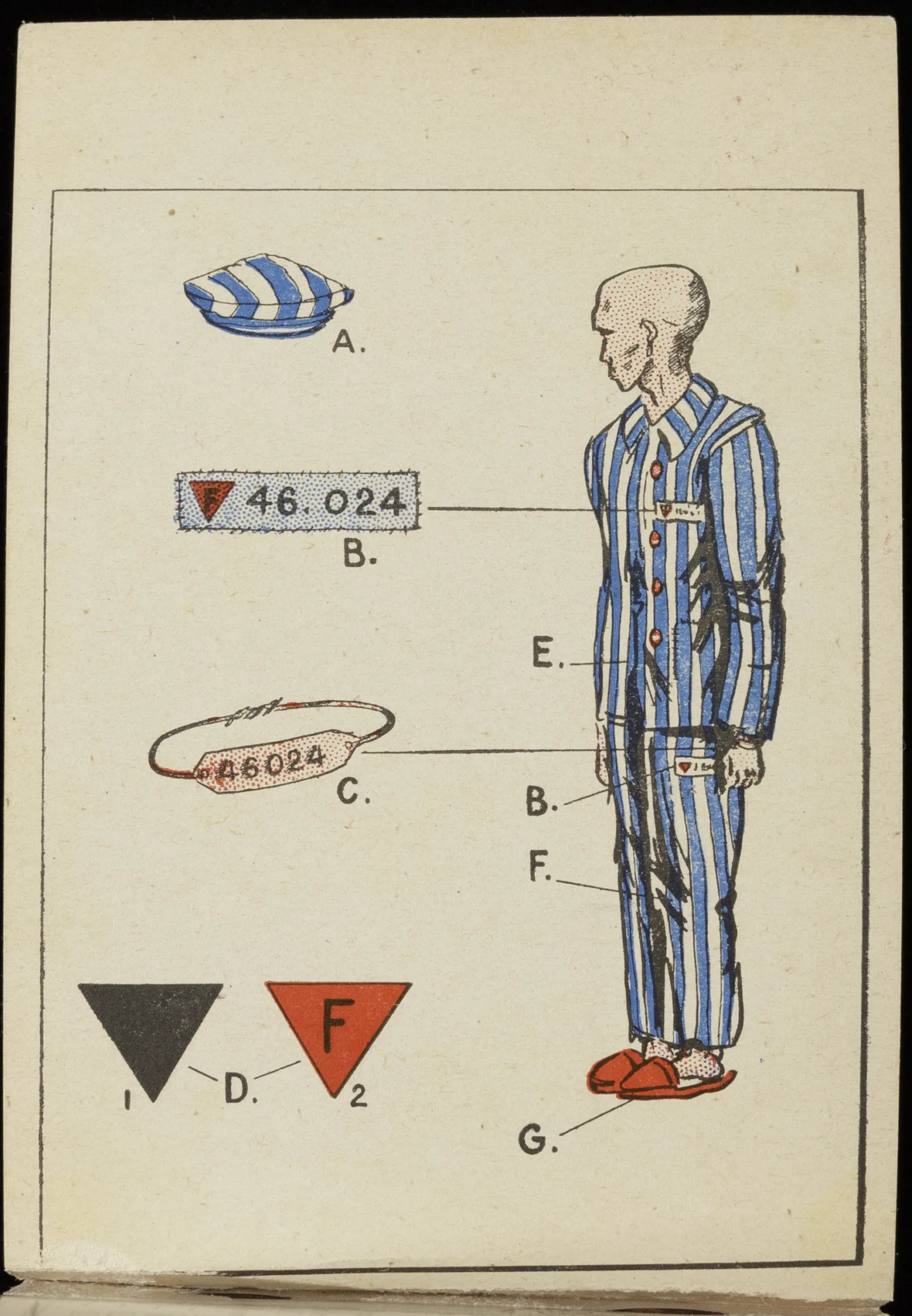 Prisoner's uniform A diagram shows a concentration camp prisoner and the different pieces of their uniform.