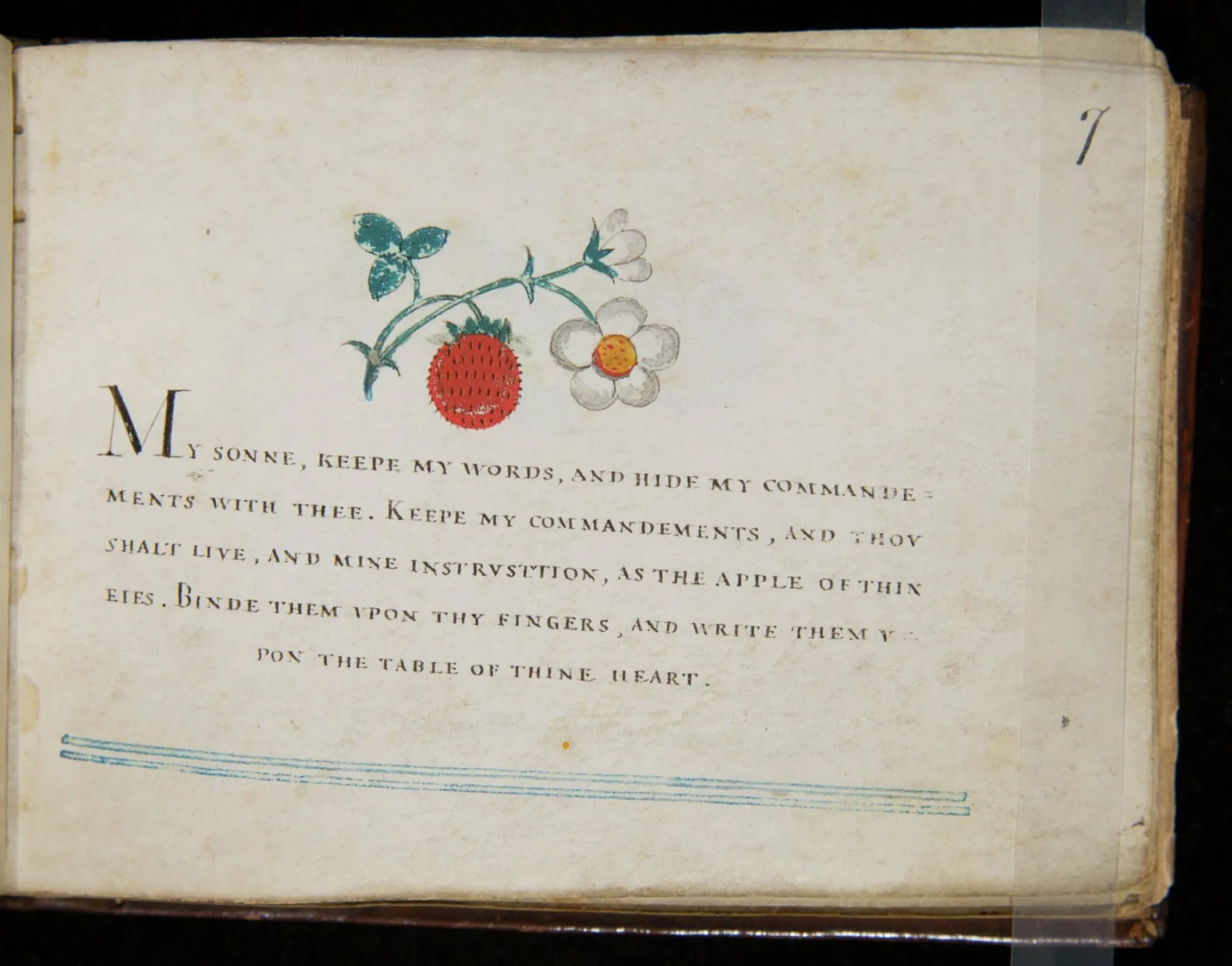 Esther Inglis calligraphy Handwritten words appear on a page. The words are “My sonne, keepe my words, and hide my commandements with thee.” Above the words is a hand-drawn flower.